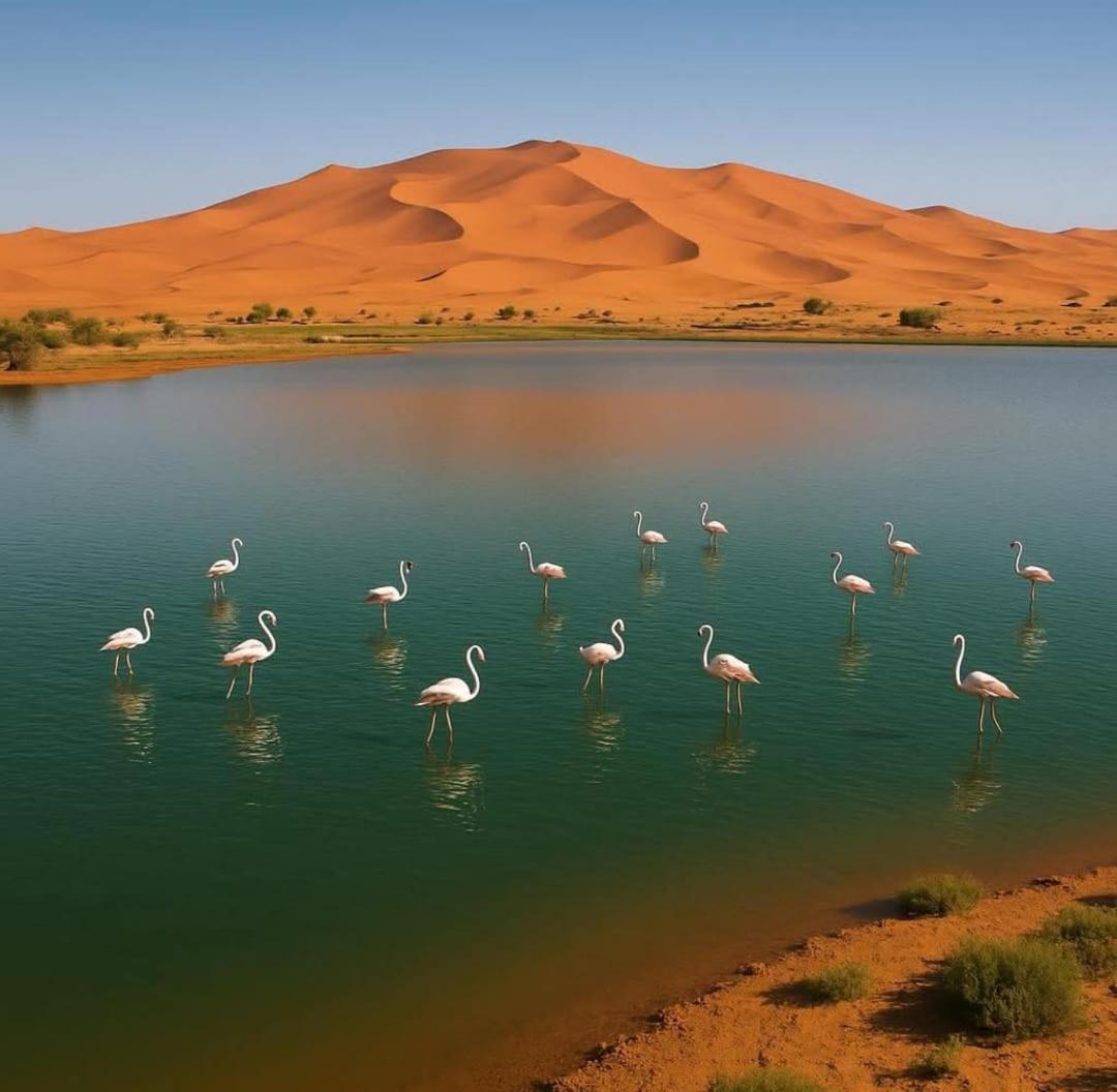 Salambo Tente Merzouga Exterior photo